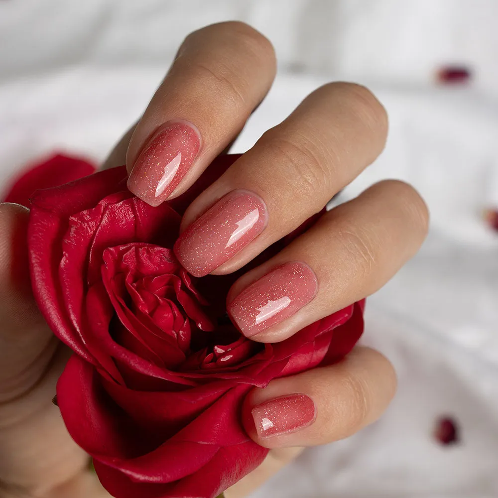 Enchanted Rose