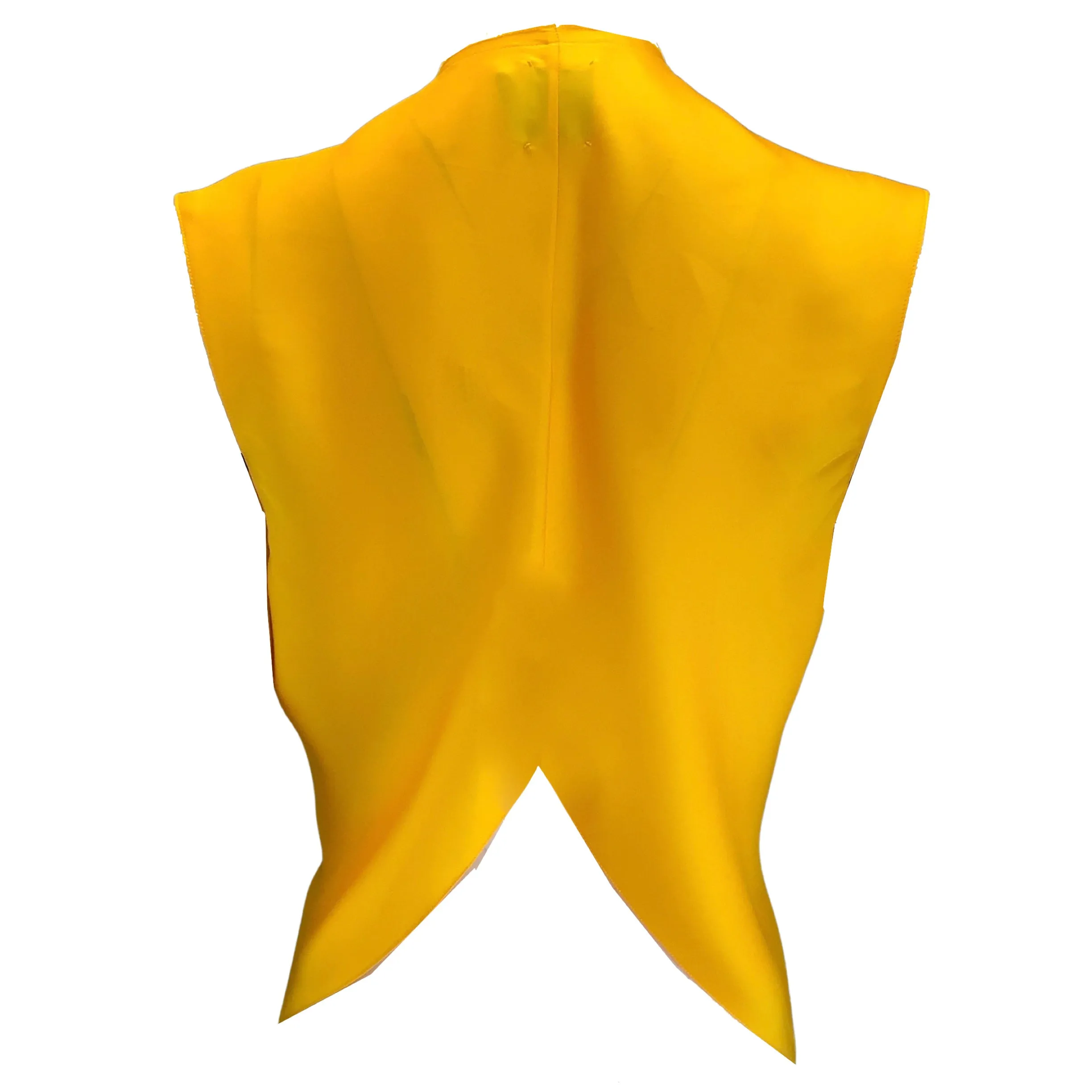 Maison Rabih Kayrouz Sunflower Draped Sleeveless Top